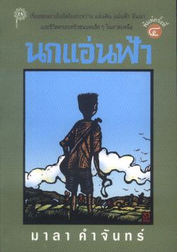 นกแอ่นฟ้า