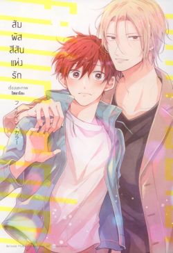 สัมผัสสีสันแห่งรัก เล่ม 1  (การ์ตูน)