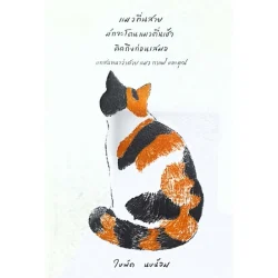 แมวตื่นสายมักจะโดนแมวตื่นเช้าคิดถึงก่อนเสมอ: บทสนทนาว่าด้วย แมว, กาแฟ และคุณ