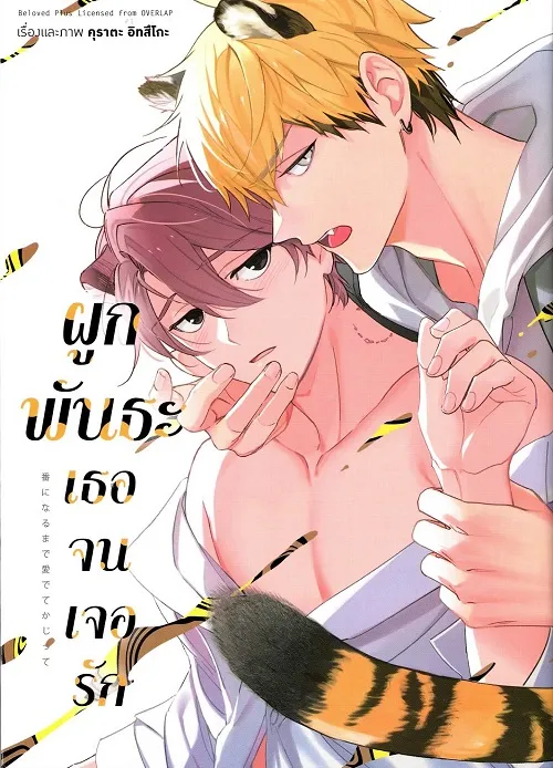ผูกพันธะเธอจนเจอรัก (การ์ตูน)