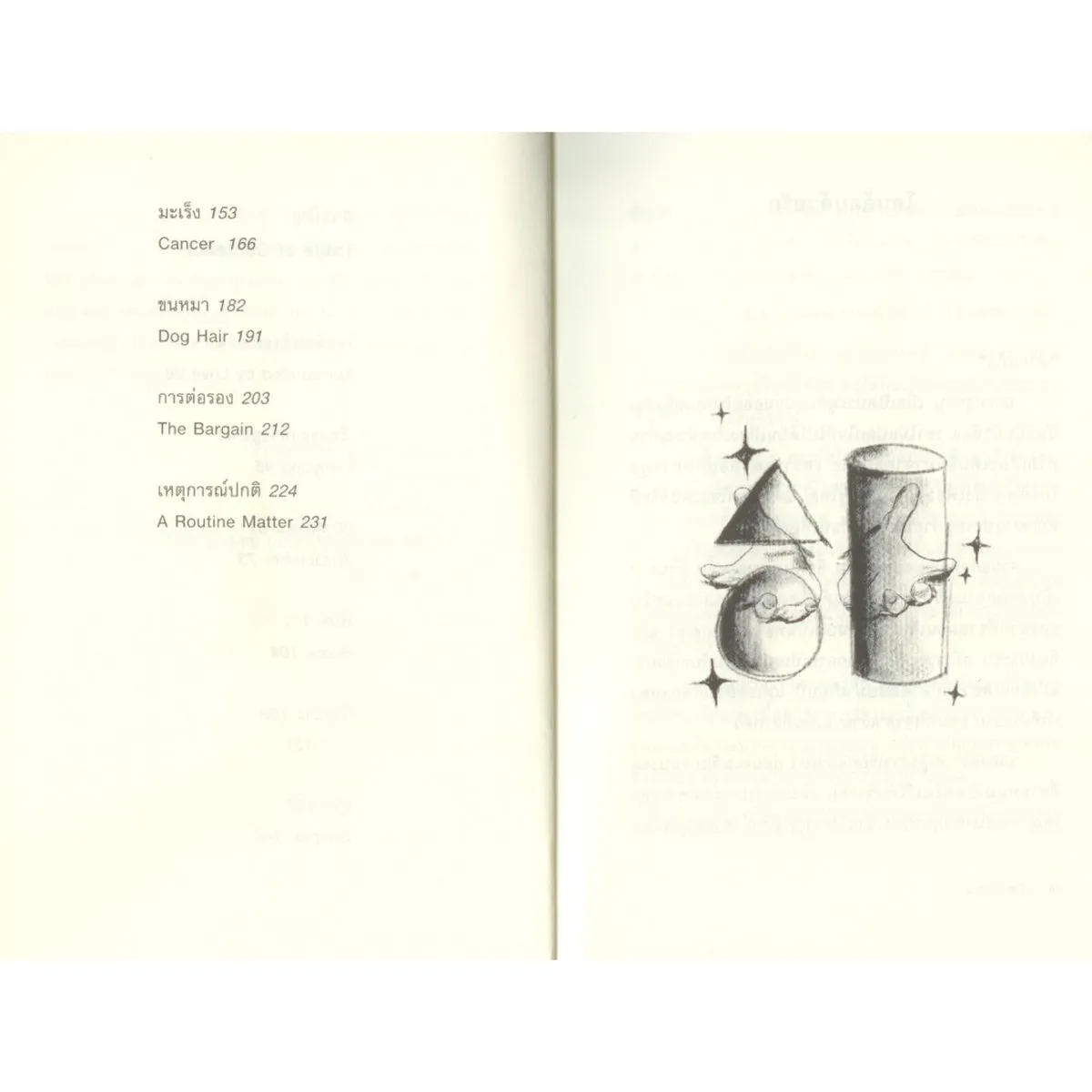 รักแห่งล้านนา THE LOVE OF LANNA (สองภาษา) - Image 6