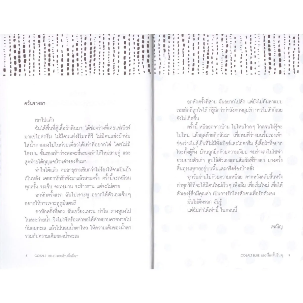 Cobalt Blue และเรื่องสั้นอื่นๆ - Image 3