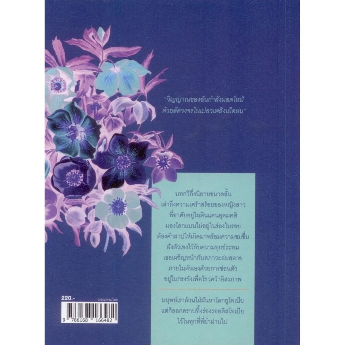 MORPHO DIDIUS ผีเสื้อลัดวงจร - Image 2