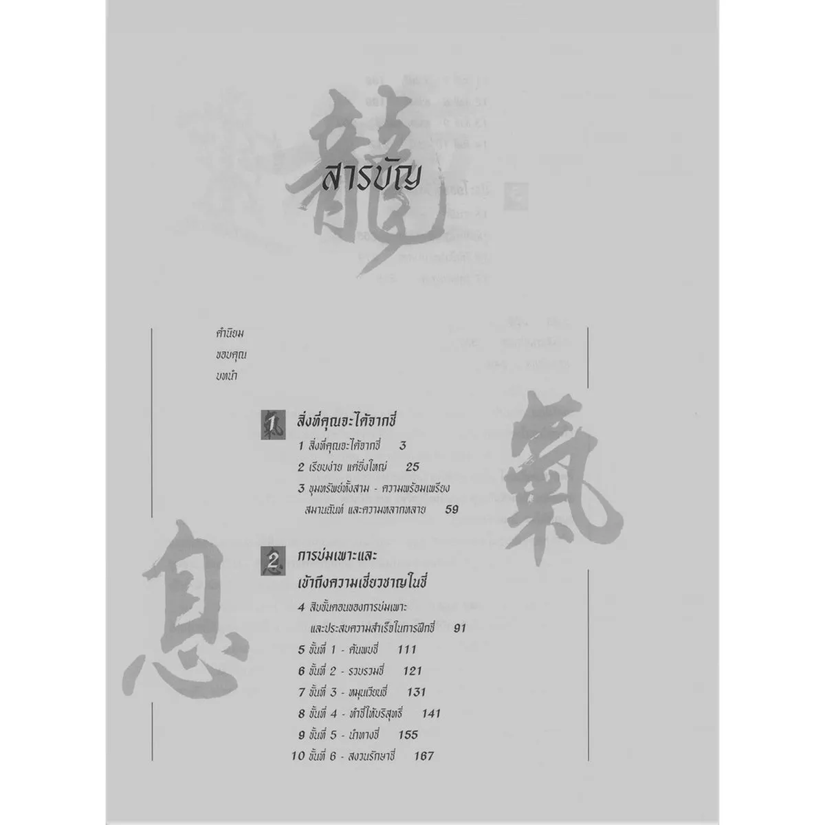 ชี่เพื่อการบำบัดเยียวยา - Image 4