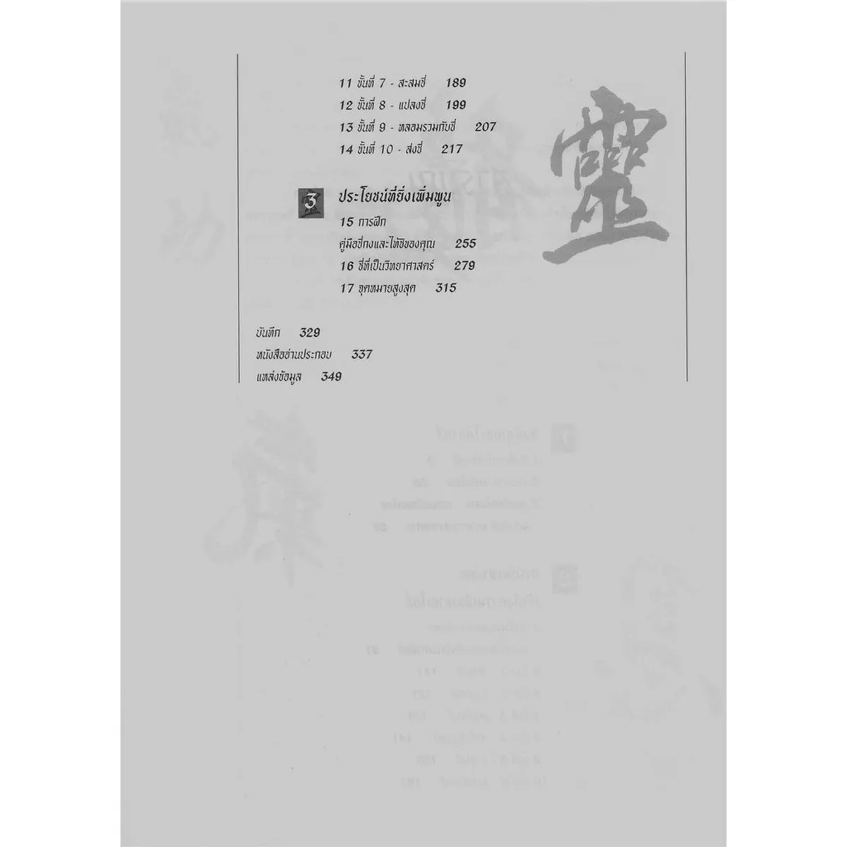 ชี่เพื่อการบำบัดเยียวยา - Image 5