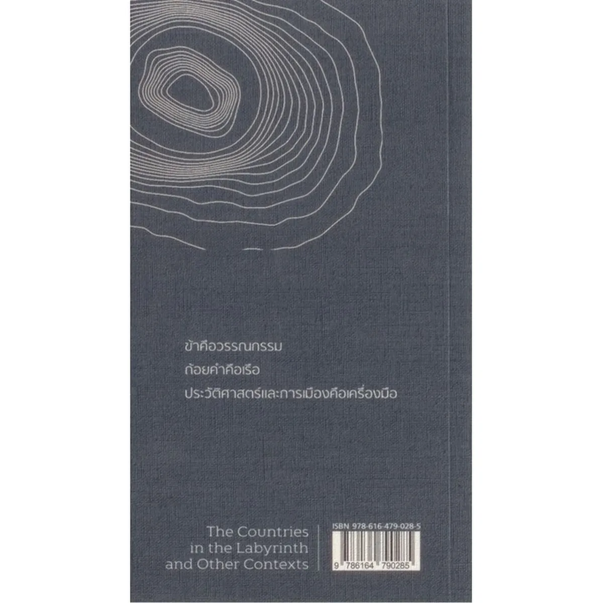 ประเทศในเขาวงกตและบริบทอื่นๆ (ปกอ่อน) - Image 2