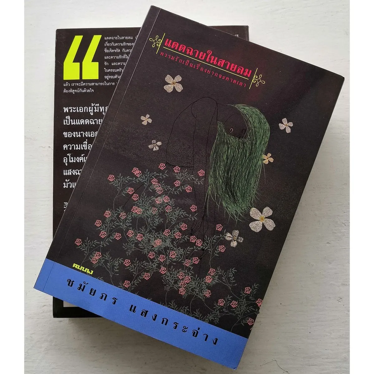 แดดฉายในสายลม