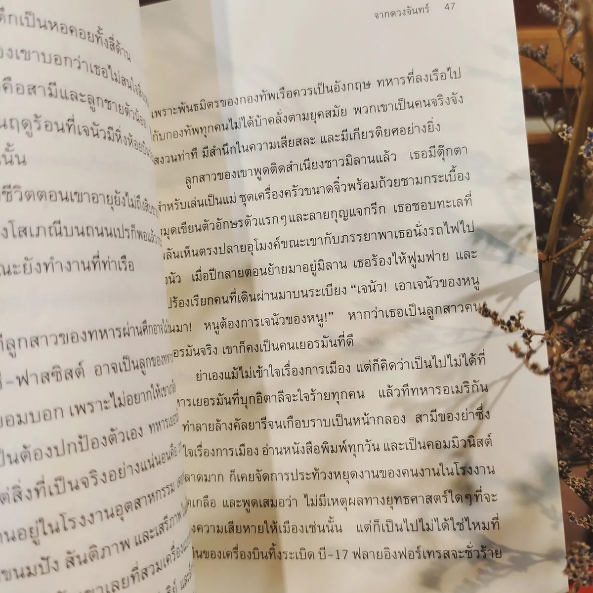 จากดวงจันทร์ Mal di pietre - Image 3