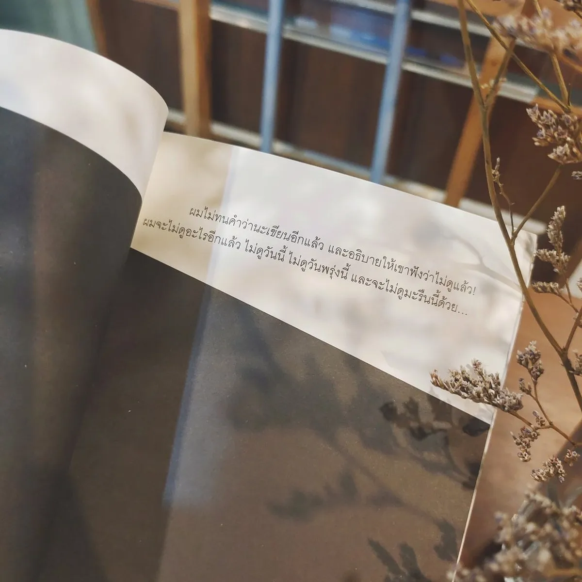 (ช่วยอ่านสักนิด) นิยายวรรณกรรม Einen Blick werfen - Image 3