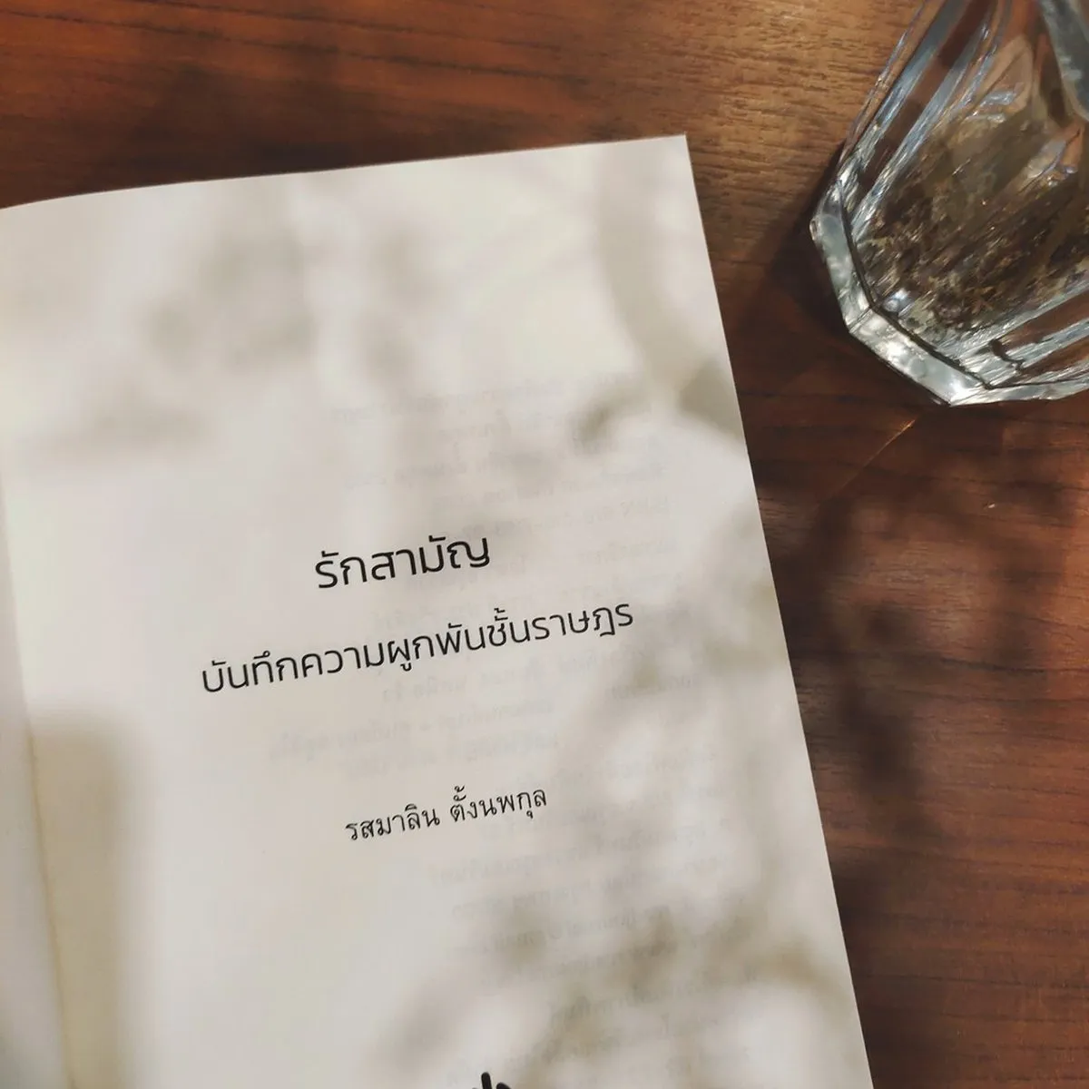 รักสามัญ บันทึกความผูกพันชั้นราษฎร - Image 3