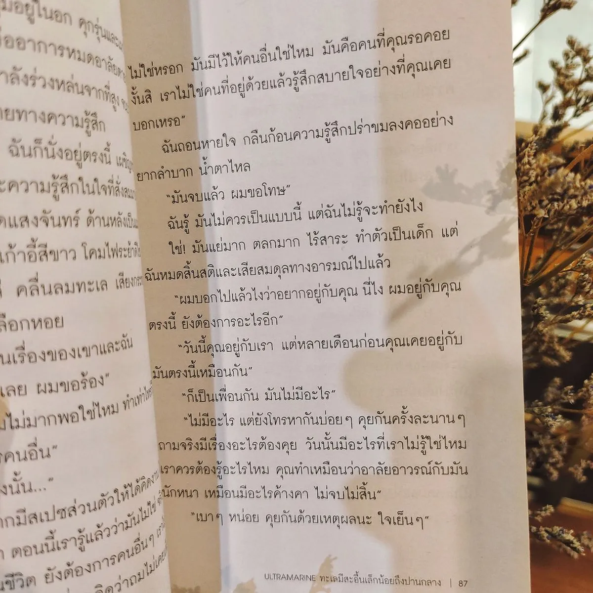 Ultramarine ทะเลมีสะอื้นเล็กน้อยถึงปานกลาง (รับตามสภาพ) - Image 3