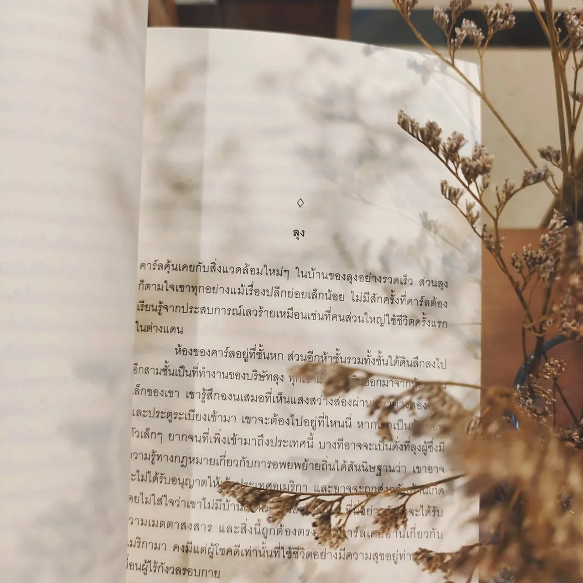 อเมริคา (ชายผู้สาบสูญ) - Image 3