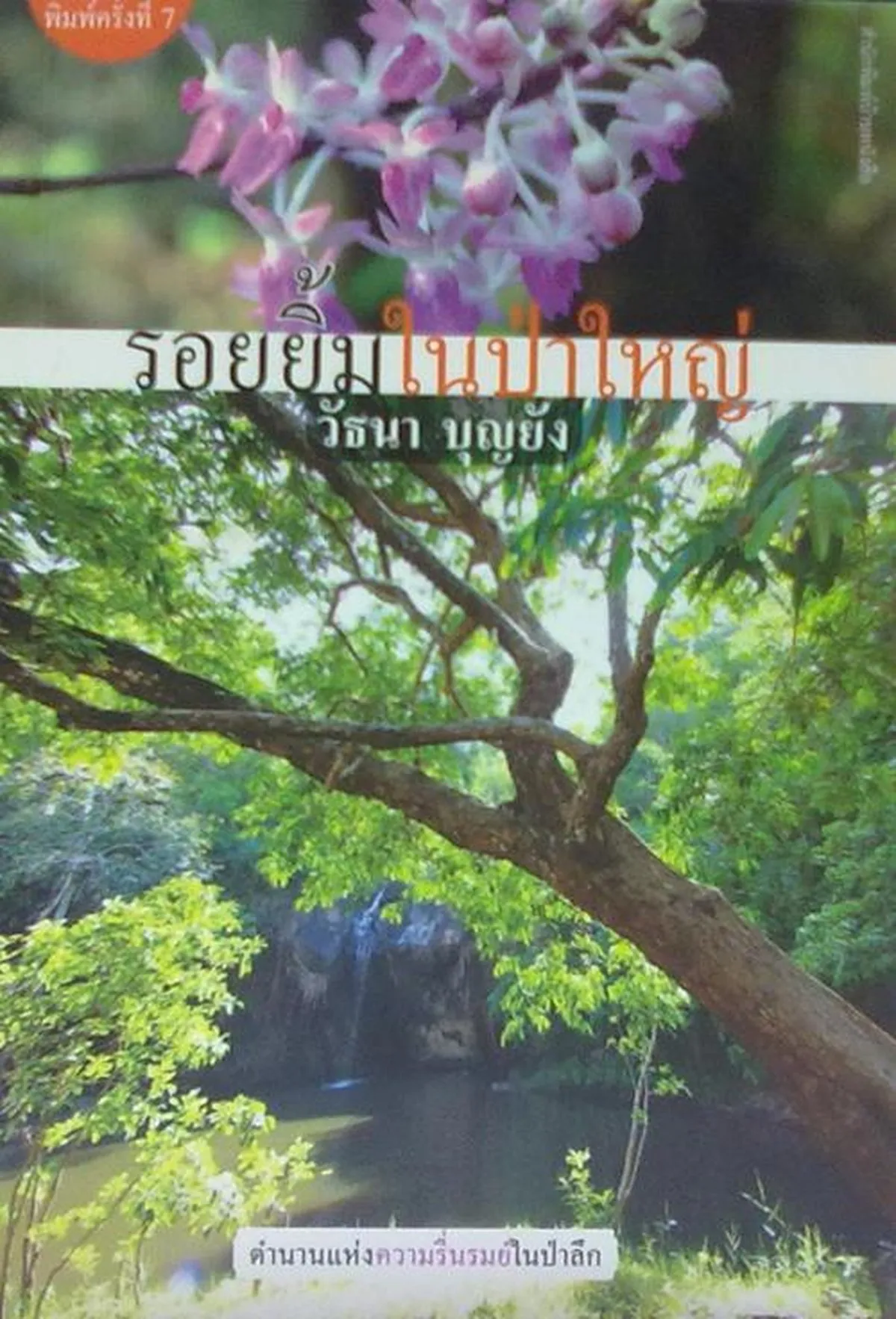 รอยยิ้มในป่าใหญ่