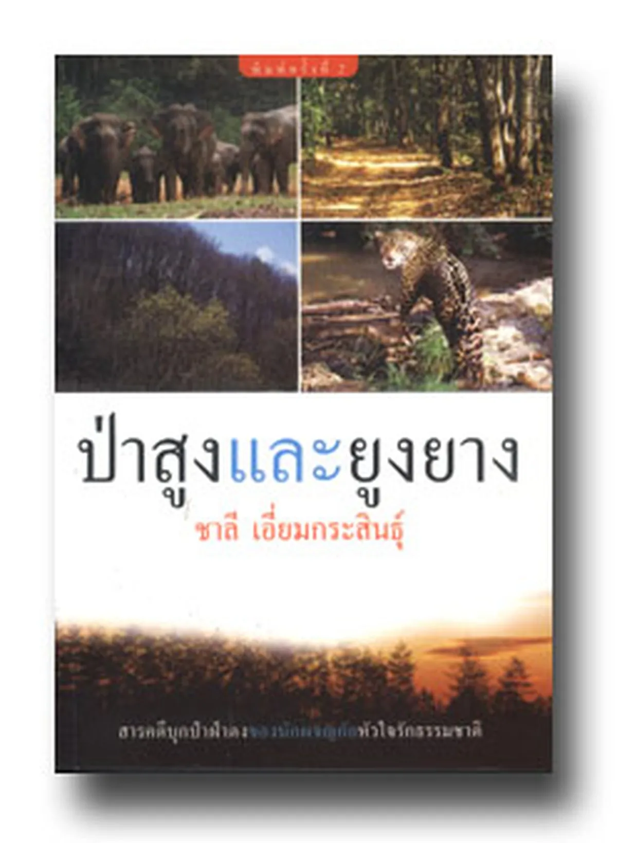 ป่าสูงและยูงยาง