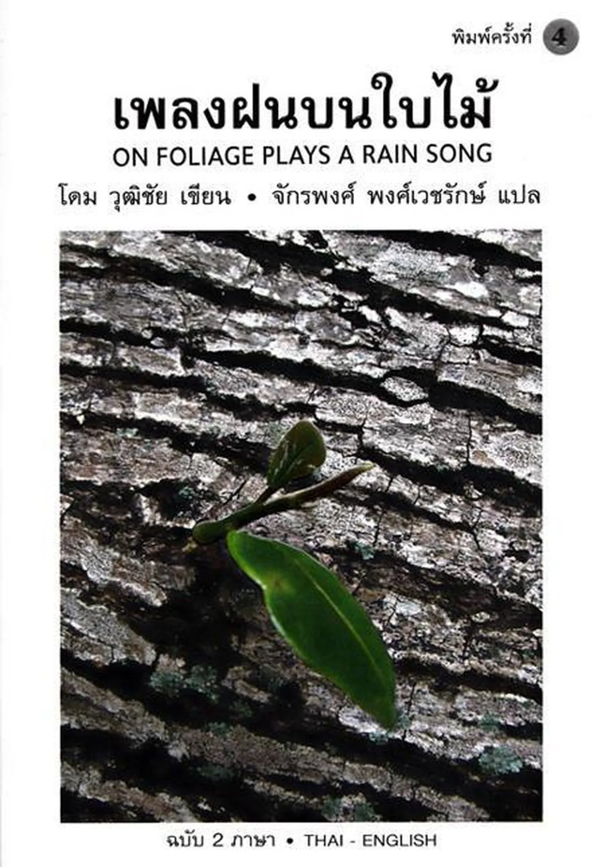 เพลงฝนบนใบไม้