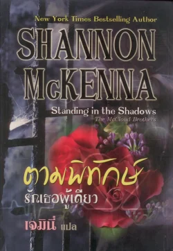 ตามพิทักษ์รักเธอคนเดียว (Standing in the Shadows)