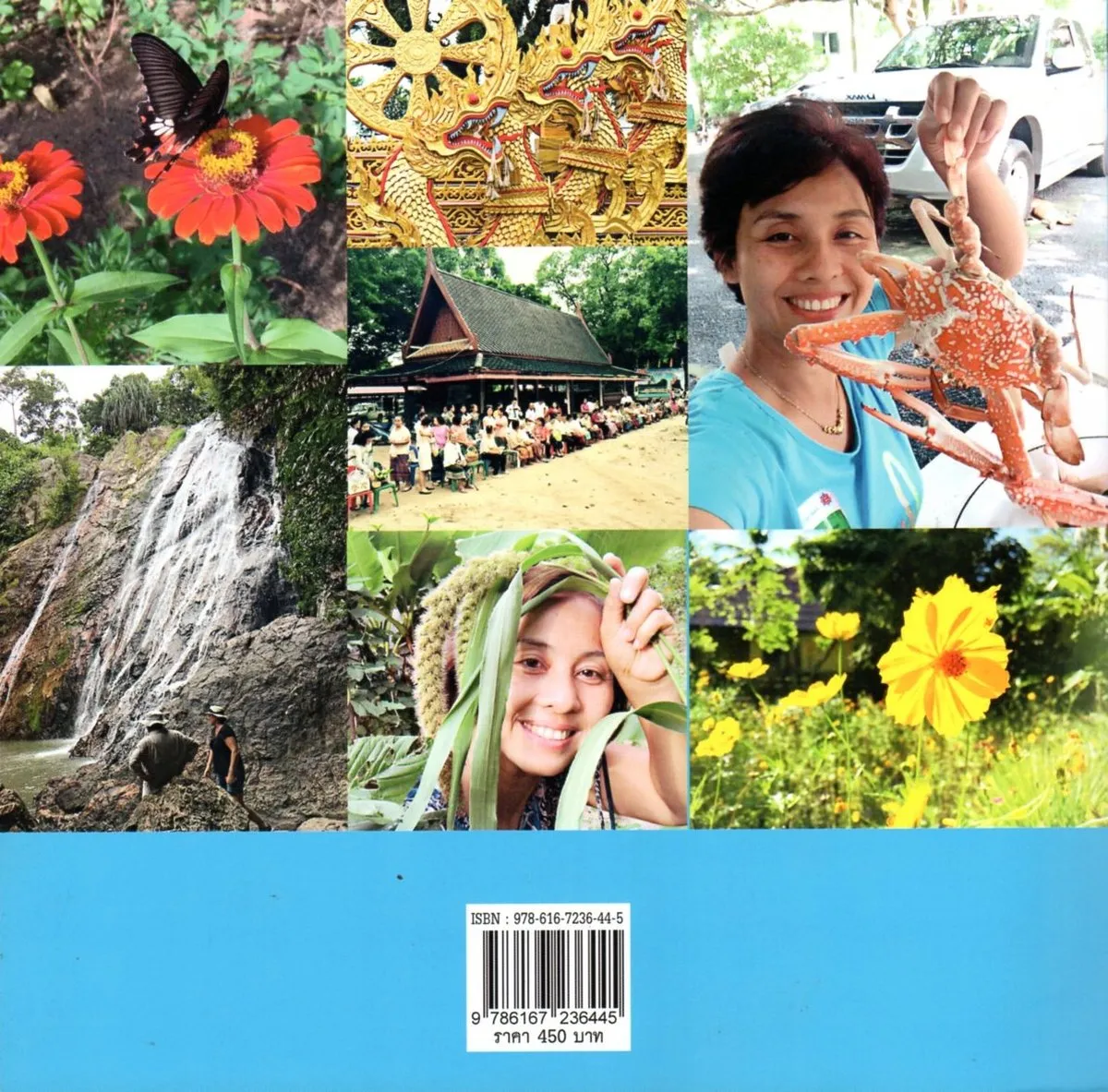 เรื่องเล่าเด็กหญิงชาวเกาะ - Image 2