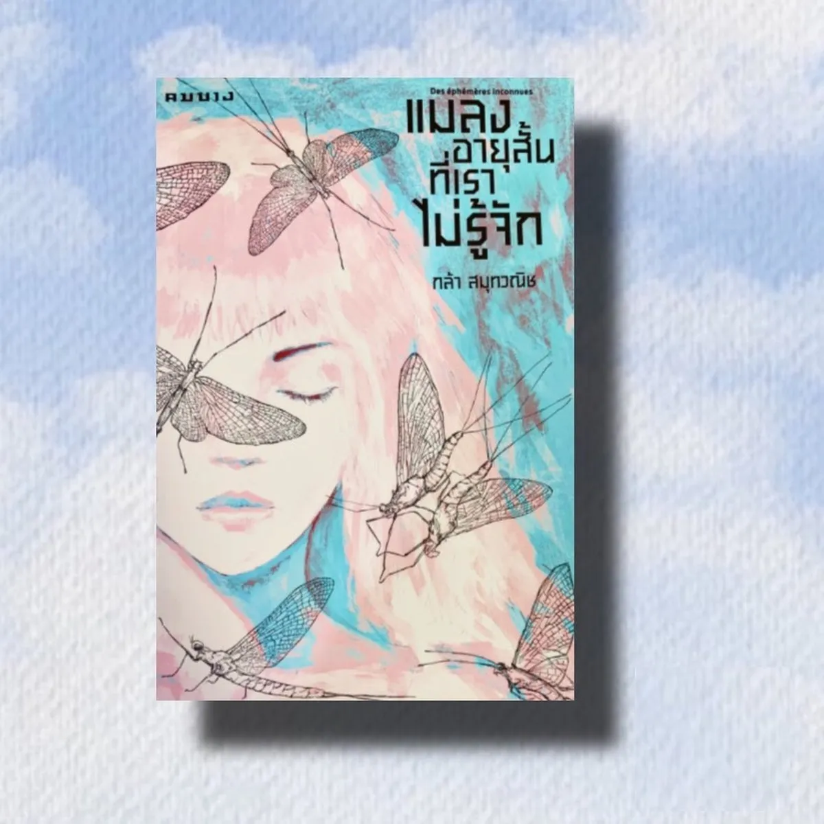 แมลงอายุสั้นที่เราไม่รู้จัก (Shortlist รางวัลซีไรต์ 2567)