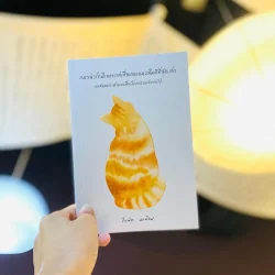 แมวน่ารักมีเยอะ แต่เชื่อเถอะแมวส้มดีที่สุดแล้ว / ใบพัด นบน้อม