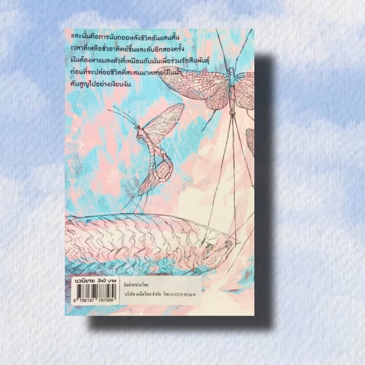 แมลงอายุสั้นที่เราไม่รู้จัก (Shortlist รางวัลซีไรต์ 2567) - Image 2