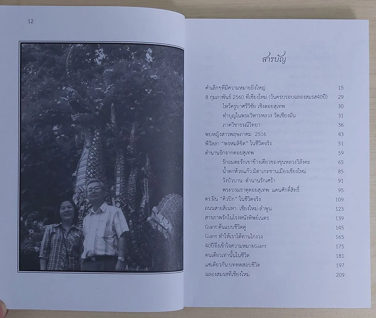 สายลมรักที่เชียงใหม่ (เชียงใหม่นครแห่งความรัก) - Image 8