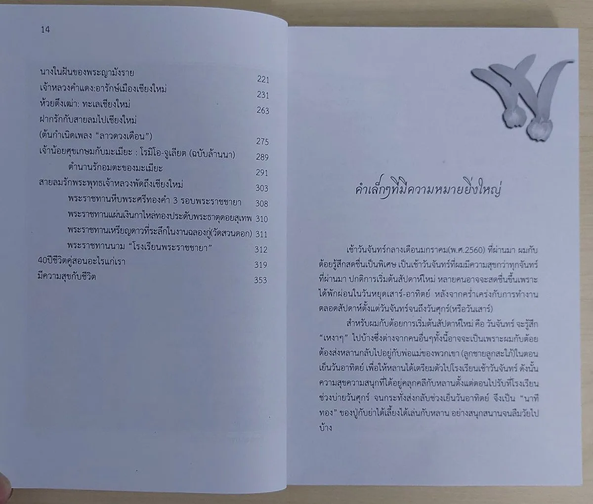 สายลมรักที่เชียงใหม่ (เชียงใหม่นครแห่งความรัก) - Image 9