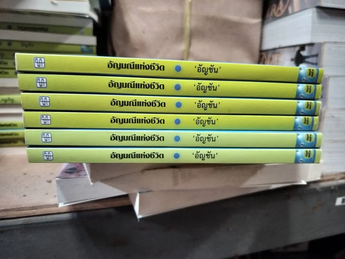 อัญมณีแห่งชีวิต (ซีไรต์ ปี 2533) - Image 6